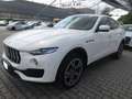 Maserati Levante Levante 3.0 V6 250cv auto Bianco - thumbnail 1