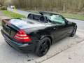 Mercedes-Benz SLK 320 SLK 320 AMG Roadster Albastru - thumbnail 11