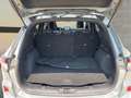 Ford Kuga 2.5 Duratec FHEV ST-Line 4x2 Aut. Gris - thumbnail 13
