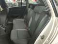 Skoda Octavia 1.5 G-TEC DSG Ambition + Executive Pack Blanco - thumbnail 6