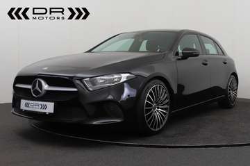 BUSINESS SOLUTION - NAVI - DAB - CAMERA