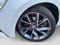 Skoda Superb Combi 2.0 TDI DSG Sportline 4x4 DCC Pano Weiß - thumbnail 5