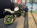 Kawasaki Wit - thumbnail 2