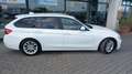 BMW 318 Serie 3 Touring 318d Business Advantage auto Bianco - thumbnail 6