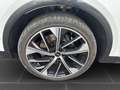 Audi SQ5 3.0 TDI AHK RFK MATRIX-LED PANO SHZ Blanc - thumbnail 9