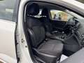 Renault Megane 1.5dCi Blue Business 85kW Weiß - thumbnail 17