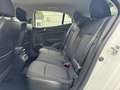 Renault Megane 1.5dCi Blue Business 85kW Weiß - thumbnail 15