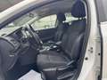 Renault Megane 1.5dCi Blue Business 85kW Weiß - thumbnail 14