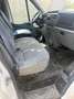 Ford Transit Kasten FT 330 M 2,2 TDCi Weiß - thumbnail 6