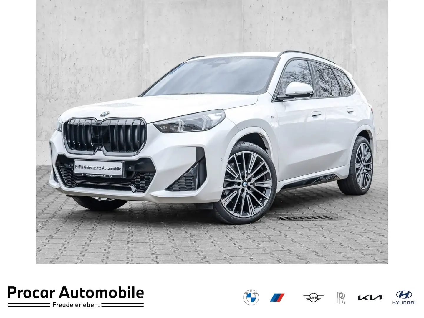 BMW X1 sDrive20i M Sport Adap.LED Pano HuD DA+ PA+ Blanco - 1