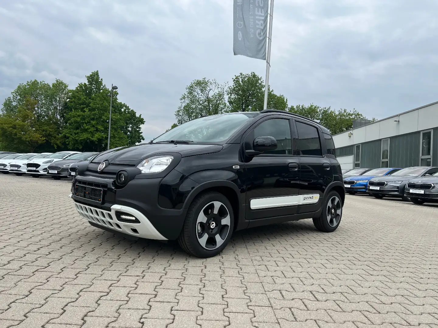 Fiat Panda Pandina Cross 1.0 Hybrid *Klima DAB NS PDC Weiß - 1