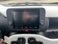 Fiat Panda Pandina Cross 1.0 Hybrid *Klima DAB NS PDC Weiß - thumbnail 24