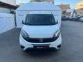 Fiat Doblo 1.3MJT PC-TN Cargo Lam.SX 3Pti Weiß - thumbnail 4