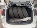 Honda Civic Tourer 1.8 i-VTEC *8fach* Weiß - thumbnail 9