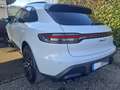 Porsche Macan Macan 2.0 T 265cv UFF. CENTROPORSCHE UNIPROPR - thumbnail 8