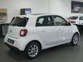 smart forFour Passion NAVI/SHZ/PDC/PANO/U-FREI/TOP Weiß - thumbnail 4