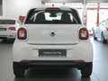 smart forFour Passion NAVI/SHZ/PDC/PANO/U-FREI/TOP Weiß - thumbnail 5