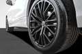 Audi Q8 SUV 50 TDI quattro tiptronic LASER/ HEAD-UP/ B Weiß - thumbnail 5