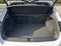 Volkswagen T-Roc 1.5 TSI DSG R-LINE PANODAK/ELEKKLEP/BEATS/ACC/STOE Weiß - thumbnail 10