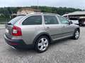 Skoda Octavia Octavia Wagon 2.0 tdi cr Scout 4x4 dsg Gris - thumbnail 4