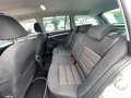 Skoda Octavia Octavia Wagon 2.0 tdi cr Scout 4x4 dsg Gris - thumbnail 9