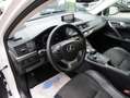 Lexus CT 200h 200h Sport Edition Blanc - thumbnail 13