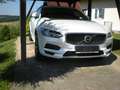 Volvo V90 Cross Country V90 Cross Country Plus B4 AWD Cross Country Plus Weiß - thumbnail 1