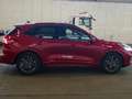 Ford Kuga ST-Line 1.5L EcoBlue Autom WiPa HeadUp Rot - thumbnail 7