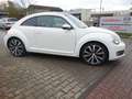 Volkswagen Beetle 1,4 Design Panorama Klima Blanc - thumbnail 4