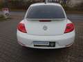 Volkswagen Beetle 1,4 Design Panorama Klima Blanc - thumbnail 8