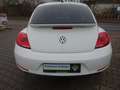 Volkswagen Beetle 1,4 Design Panorama Klima Blanc - thumbnail 6