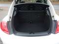 Volkswagen Beetle 1,4 Design Panorama Klima Blanc - thumbnail 7