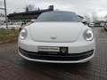 Volkswagen Beetle 1,4 Design Panorama Klima Blanc - thumbnail 2