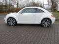 Volkswagen Beetle 1,4 Design Panorama Klima Blanc - thumbnail 5