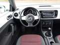 Volkswagen Beetle 1,4 Design Panorama Klima Blanc - thumbnail 14