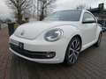 Volkswagen Beetle 1,4 Design Panorama Klima Blanc - thumbnail 1
