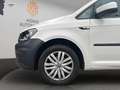Volkswagen Caddy PKW Trendline BMT/AHK/ALLWETTER/TEMPO Weiß - thumbnail 3