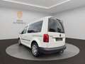 Volkswagen Caddy PKW Trendline BMT/AHK/ALLWETTER/TEMPO Weiß - thumbnail 4