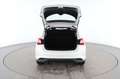 Nissan Pulsar 1.5 Turbodiesel Acenta Blanco - thumbnail 17