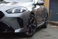 BMW 120 iA M PACK - NAVI / LED / PANO OPENDAK Grau - thumbnail 28