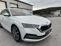Skoda Octavia Combi 2,0 TDI Style DSG *VERKAUFT* Weiß - thumbnail 13