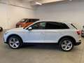 Audi Q5 40 TDI 204 CV quattro S tronic Business Advanced Bianco - thumbnail 2