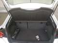 SEAT Ibiza 1.0 TGI Style Neopatentati, Fari LED, Navi, Km cer Blanc - thumbnail 10