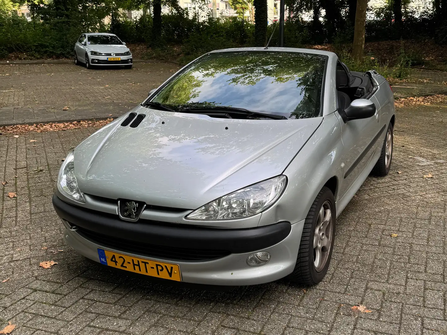 Peugeot 206 206 1.6-16V Zilver - 1