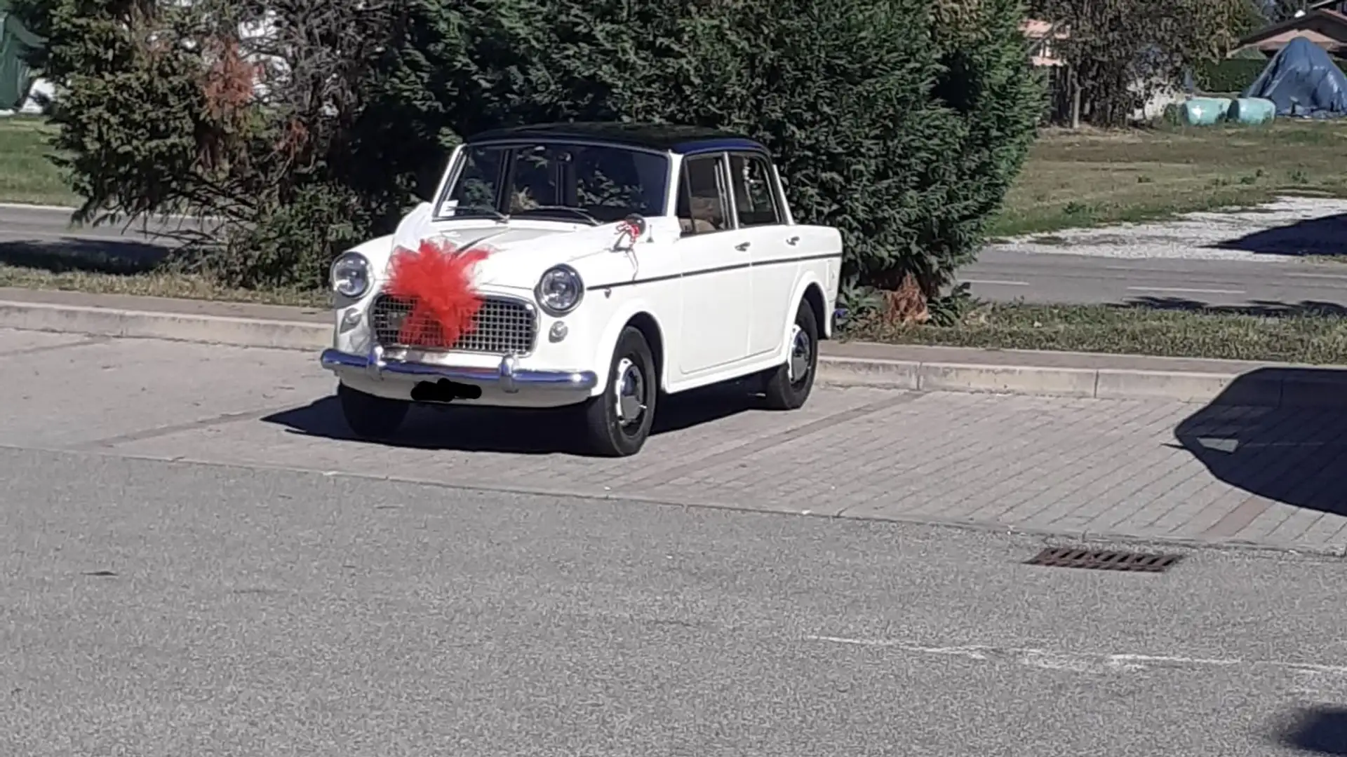 Fiat 1100 special - 1