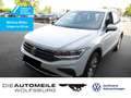 Volkswagen Tiguan 2.0 TDI DSG 4 Motion Life AHK/ACC/Einpark Weiß - thumbnail 1
