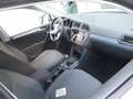 Volkswagen Tiguan 2.0 TDI DSG 4 Motion Life AHK/ACC/Einpark Weiß - thumbnail 3