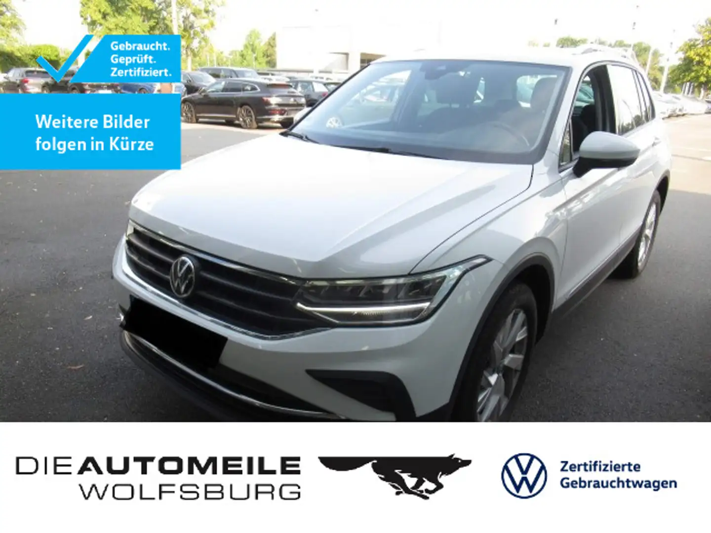 Volkswagen Tiguan 2.0 TDI DSG 4 Motion Life AHK/ACC/Einpark Weiß - 1