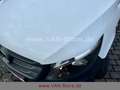 Mercedes-Benz VITO KASTEN 116 LANG/AUT/TEMP/DAB/KAMERA Bianco - thumbnail 13
