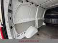 Mercedes-Benz VITO KASTEN 116 LANG/AUT/TEMP/DAB/KAMERA Bianco - thumbnail 40